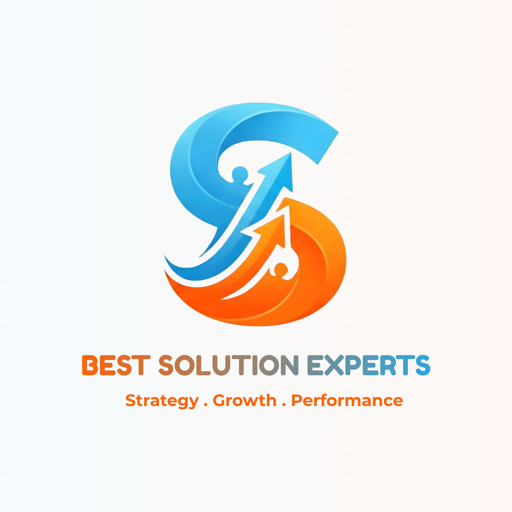 Best Solution Experts
